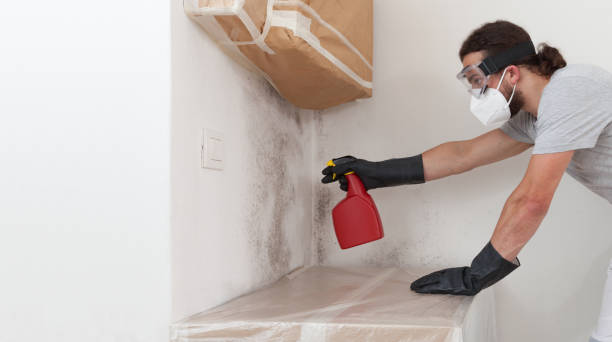 Professional Bathroom Mold Removal technician working in Buckingham, PA